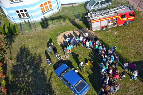 bds6