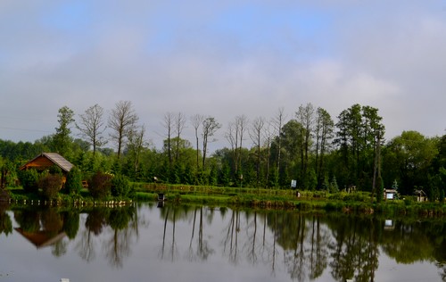 DSC 0005
